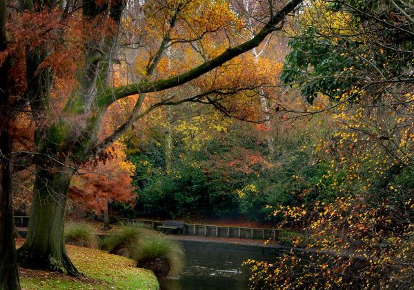 Hagley Park Christchurch NZ
