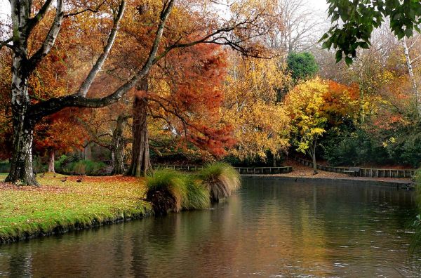 Hagley Park New Zealand.