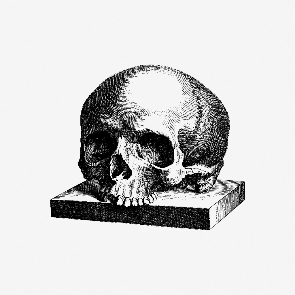 Halloween human skull hand drawn