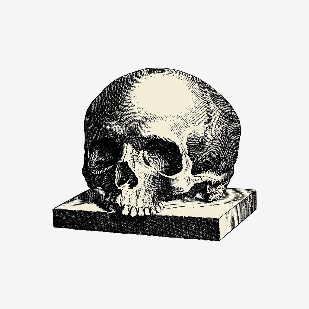Halloween human skull hand drawn