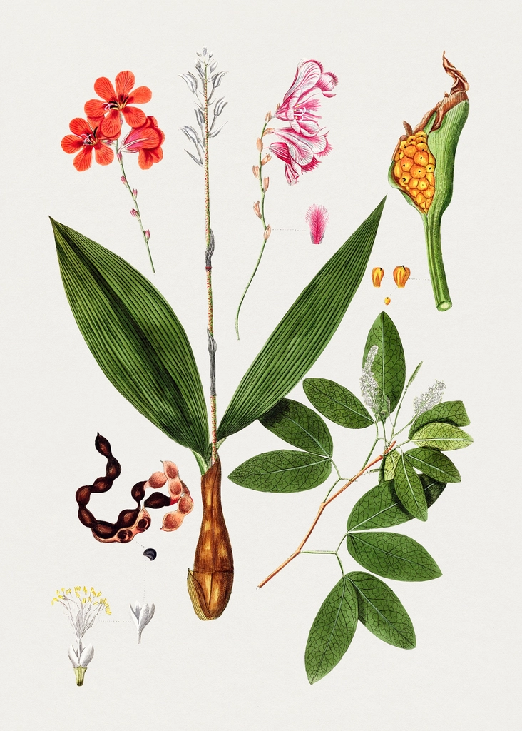 Hand drawn flowers leaves