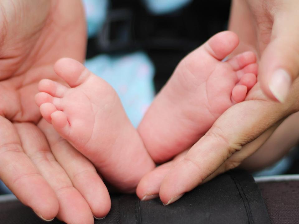 Hands Feet