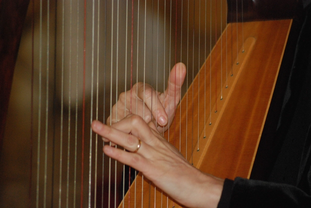 Harp, musical instrument