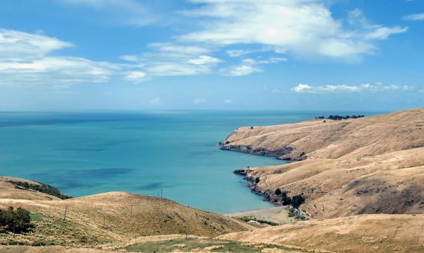 Harris Bay Banks Peninsula. NZ
