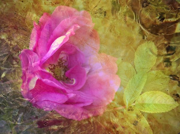 Heart of a hot summer day . . .