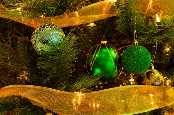 Holiday Tree