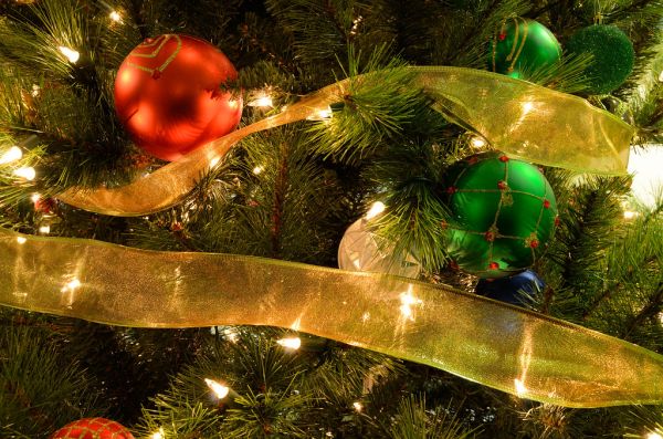 Holiday Tree