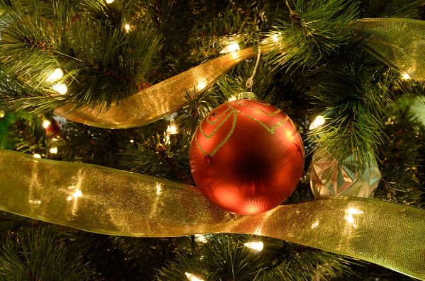 Holiday Tree