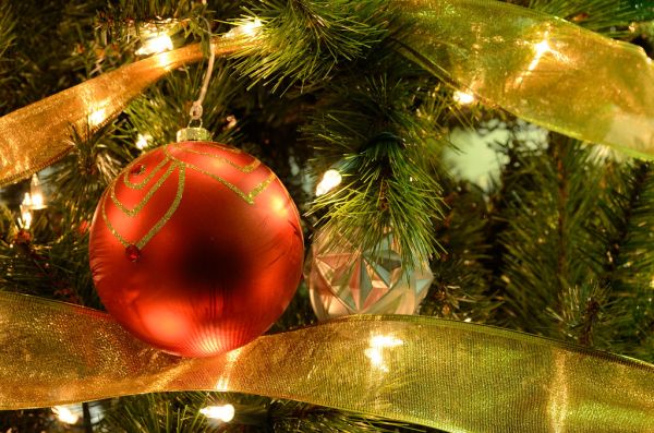 Holiday Tree