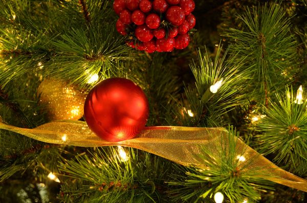 Holiday Tree