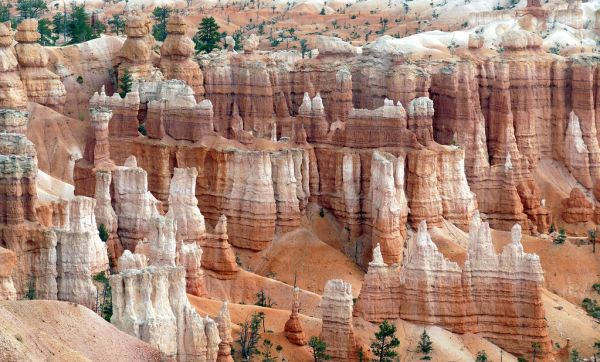 Hoodoos Of Bryce Canyon