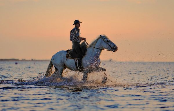 Horseback riding