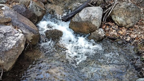 HUACHUCA MTS, Ramsey Canyon, cochise Co, AZ (3-25-2019) -02 WATERCOLOR