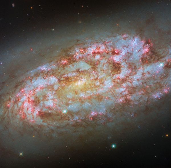 Hubble Spots a Storm of New Stars