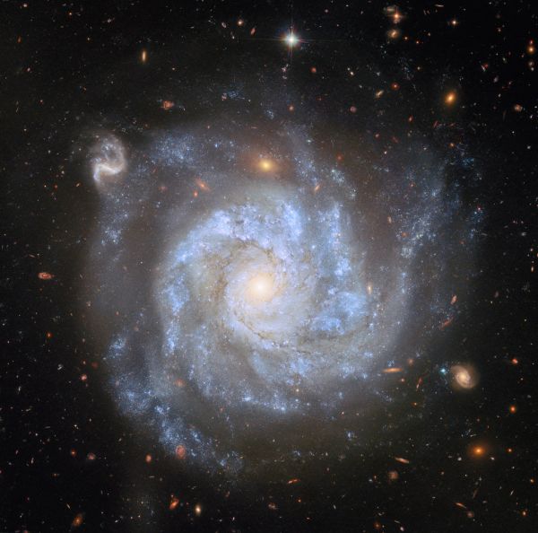 Hubble Surveys Supernova-Rich Spiral