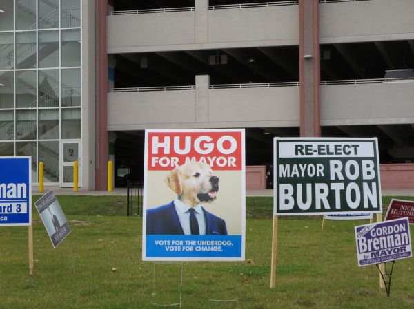 Hugo in the Field of Dreams