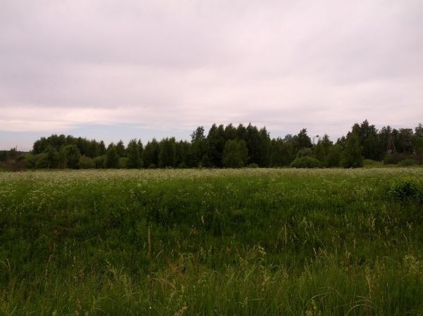 IMG_20130610_134811