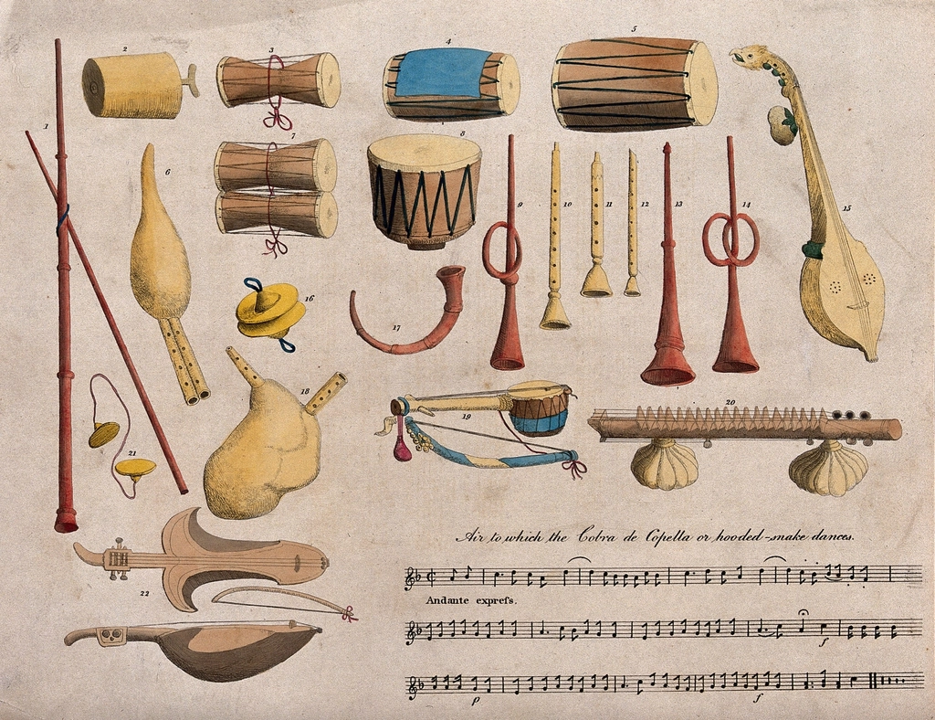 Indian musical instruments; percussion, string
