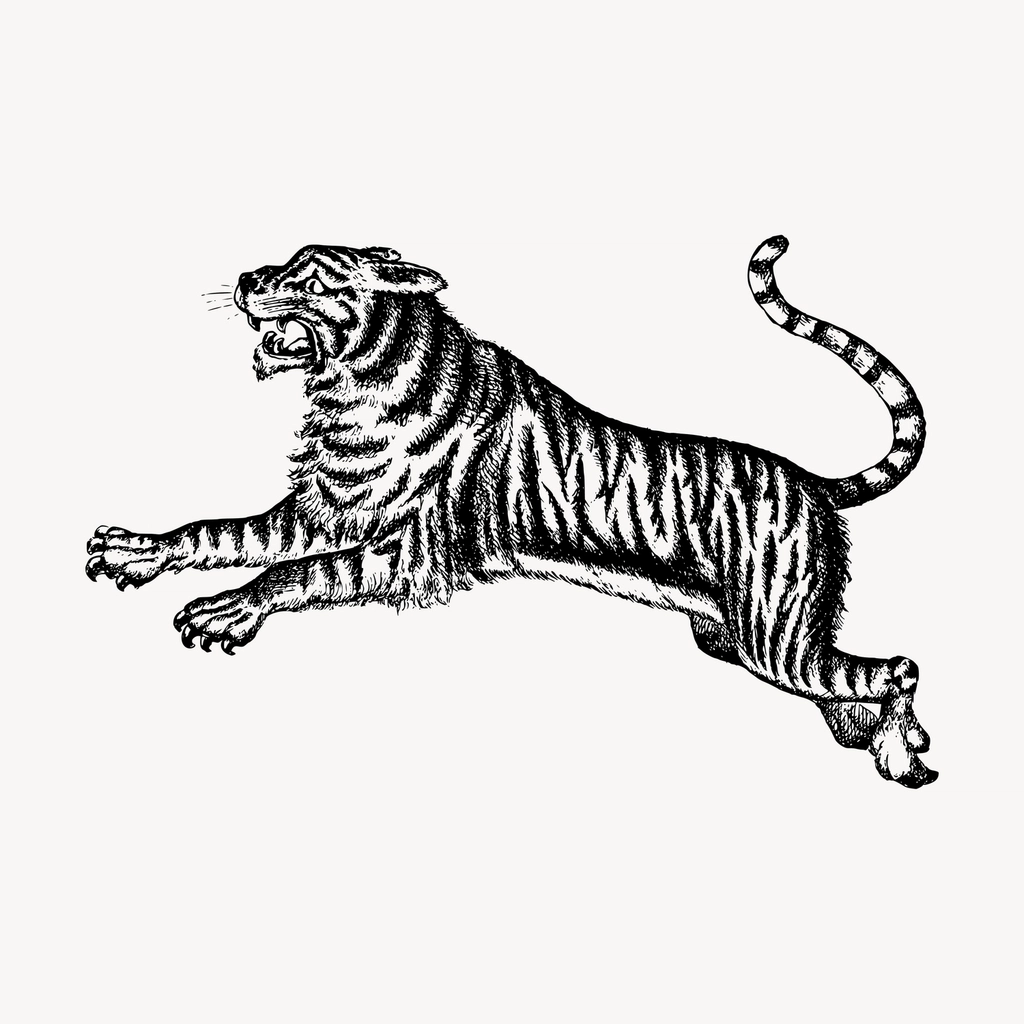 Jumping tiger hand drawn clipart