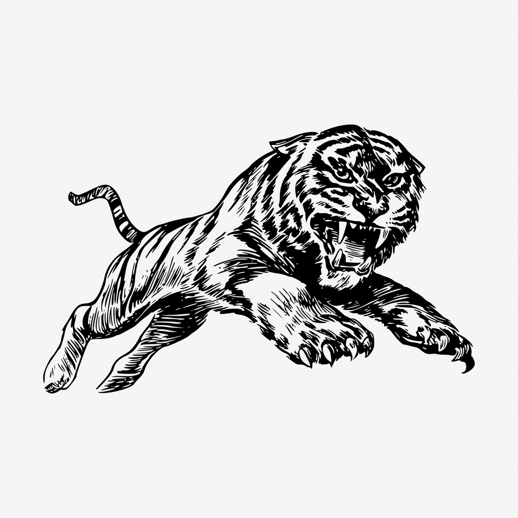 Jumping tiger hand drawn illustration