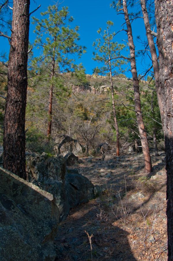 Kelsey Trail