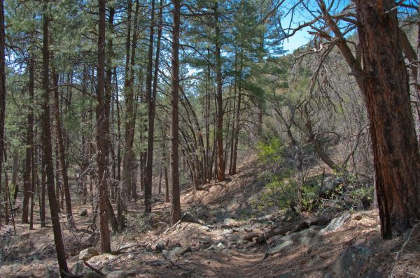 Kelsey Trail