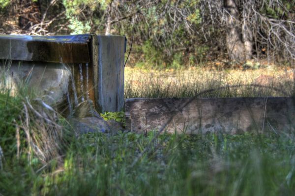 Kelsey Trail