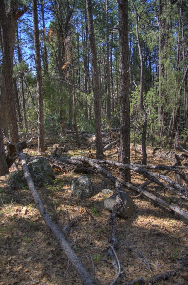 Kelsey Trail