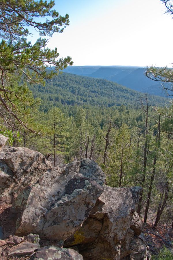 Kelsey Trail