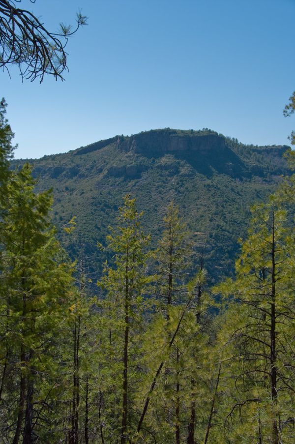 Kelsey Trail