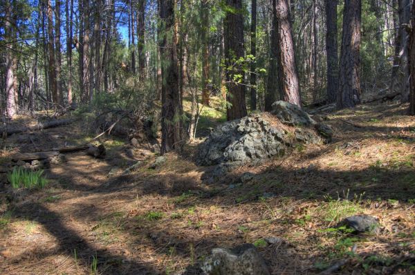 Kelsey Trail