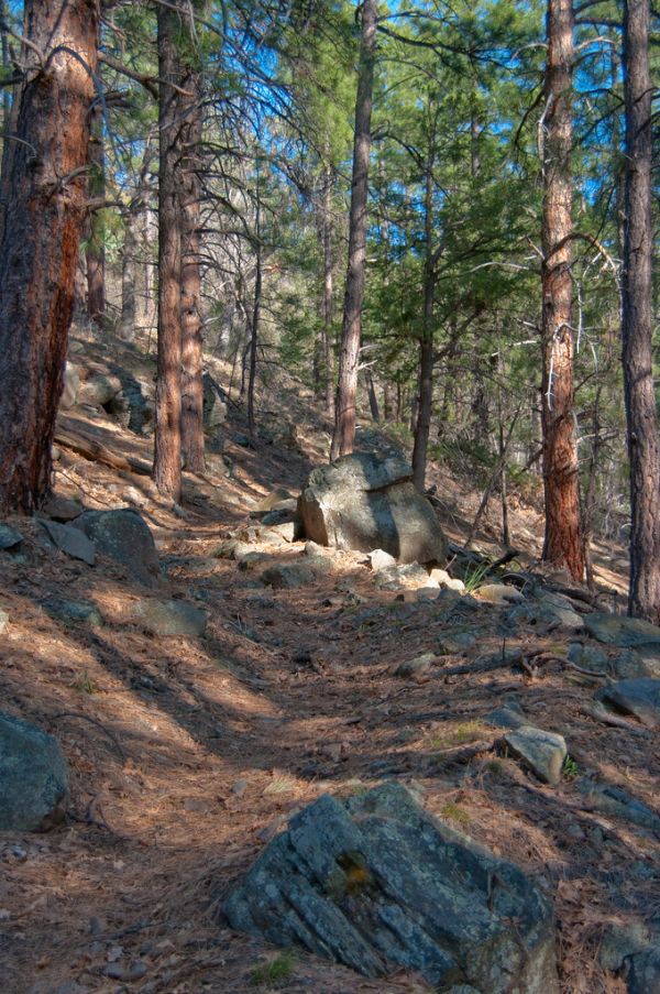 Kelsey Trail