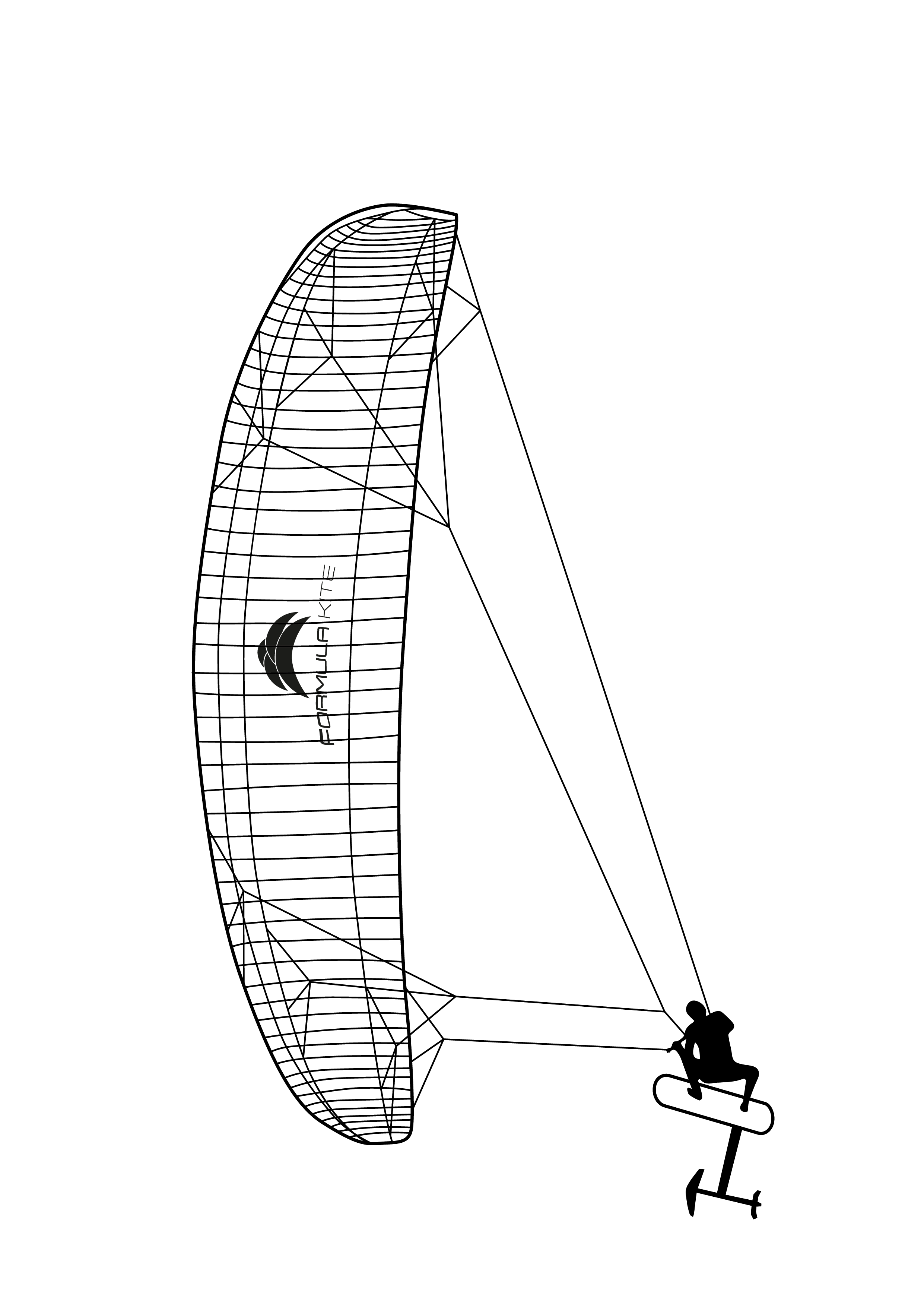 Kitefoiling line art