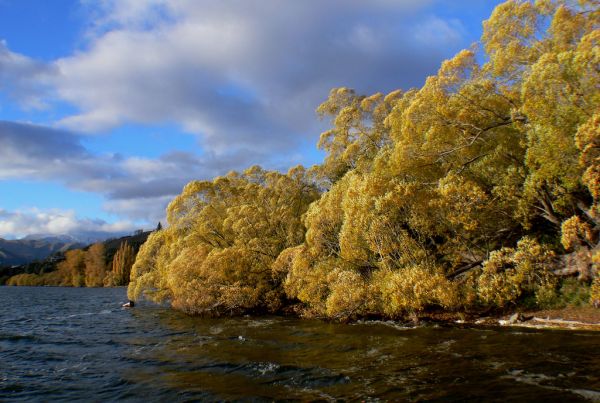 Lake Hayes Otago NZ (10)