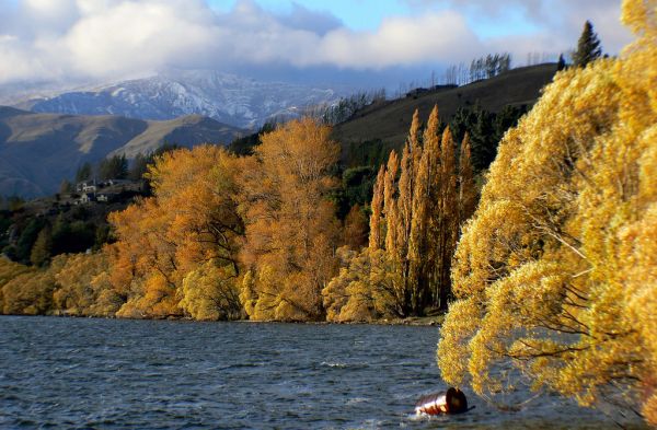 Lake Hayes Otago NZ (12)