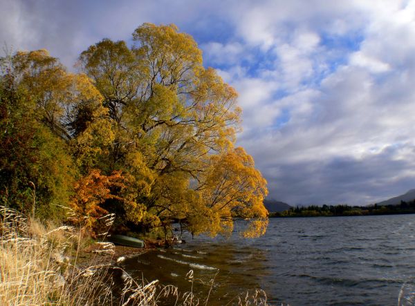 Lake Hayes Otago NZ Autumn