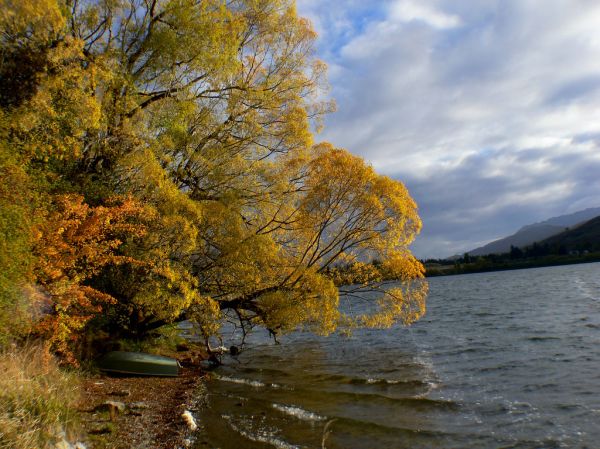 Lake Hayes Otago NZ.