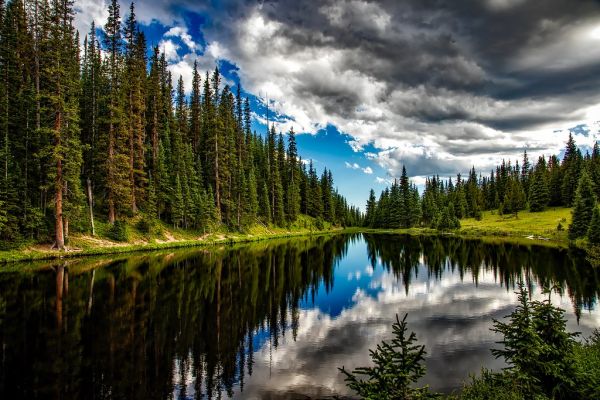 Lake Irene, Douglas County