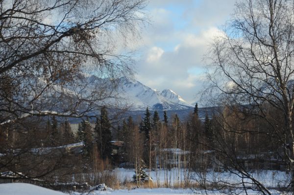 Lake Otis in the winter, Chugach Mountain Range as viewed between birch trees, snow, spruce, partly sunny day, Lake Otis neighborhood, Anchorage, Alaska, USA