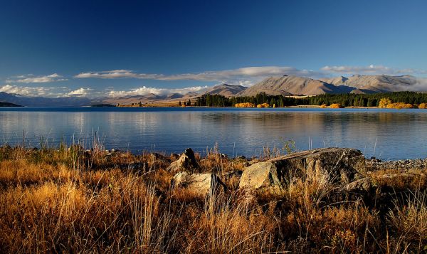Lake Tekapo NZ