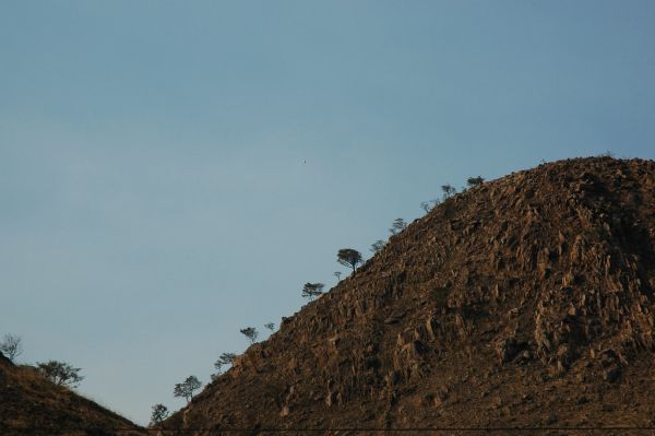 Landscape as abstract art, tree line hill, rock, soil, near Guadalajara, Jalisco, Mexico