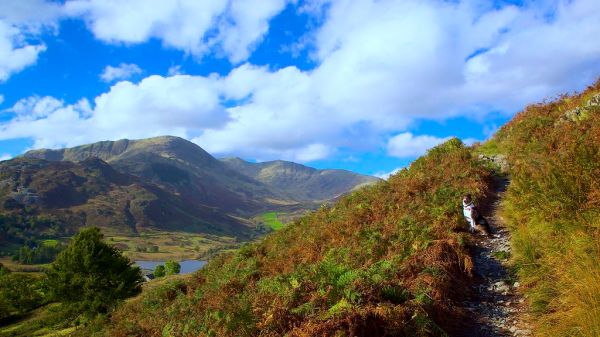 Langdale Pikes