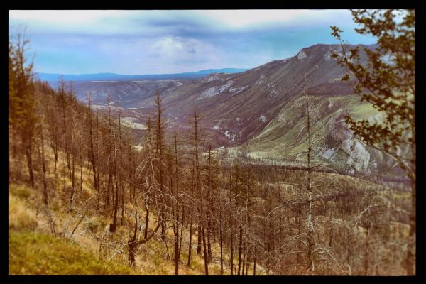 Leaping across the mountains, bounding over the hills