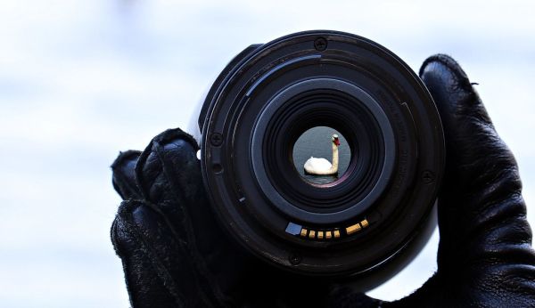 Lens focus on lake