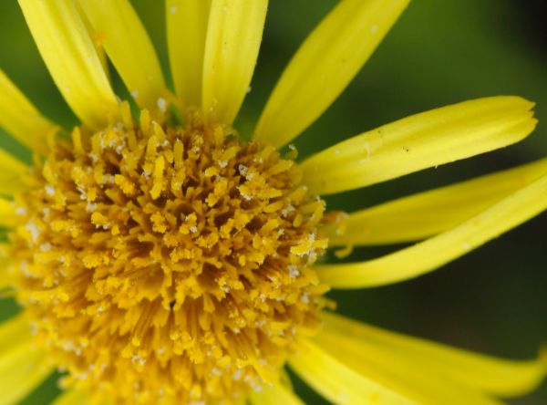 License Free Photo - Creative Commons by gnuckx