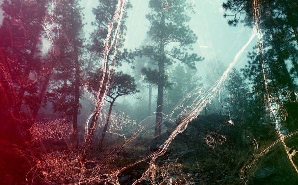 Like A Heavy Mist