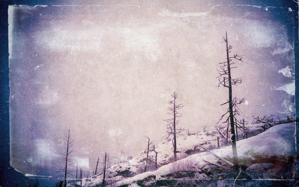 Like snow in summer