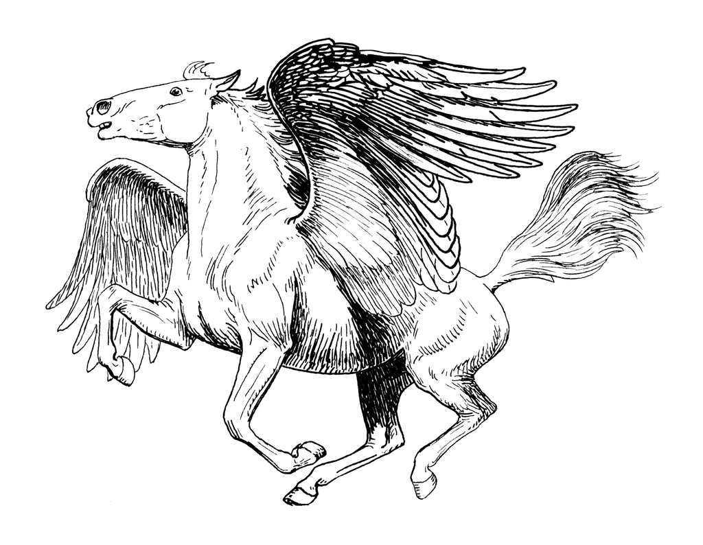 Line art drawing of Pegasus