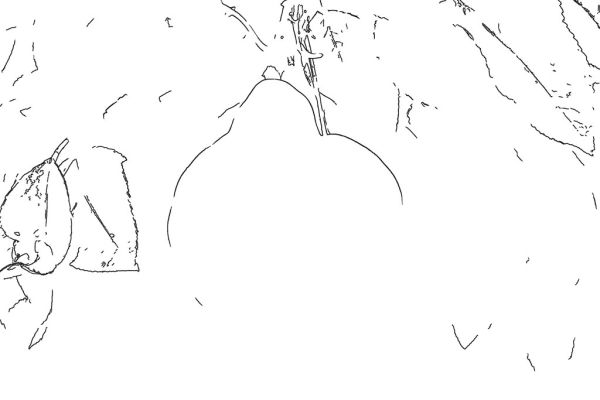 Line art