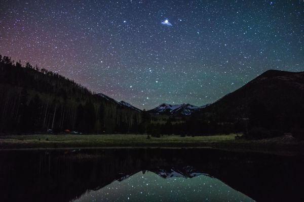 Lockett Meadow